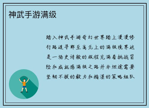 神武手游满级